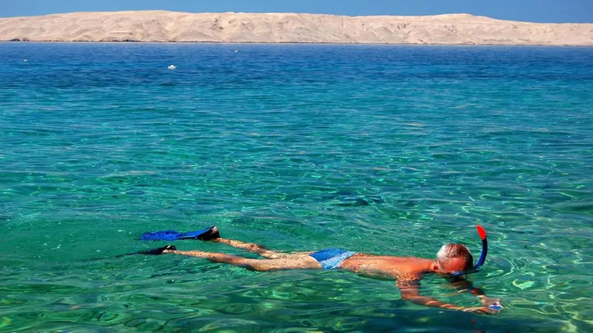 Olive Mobile Home Terra Park SpiritoS