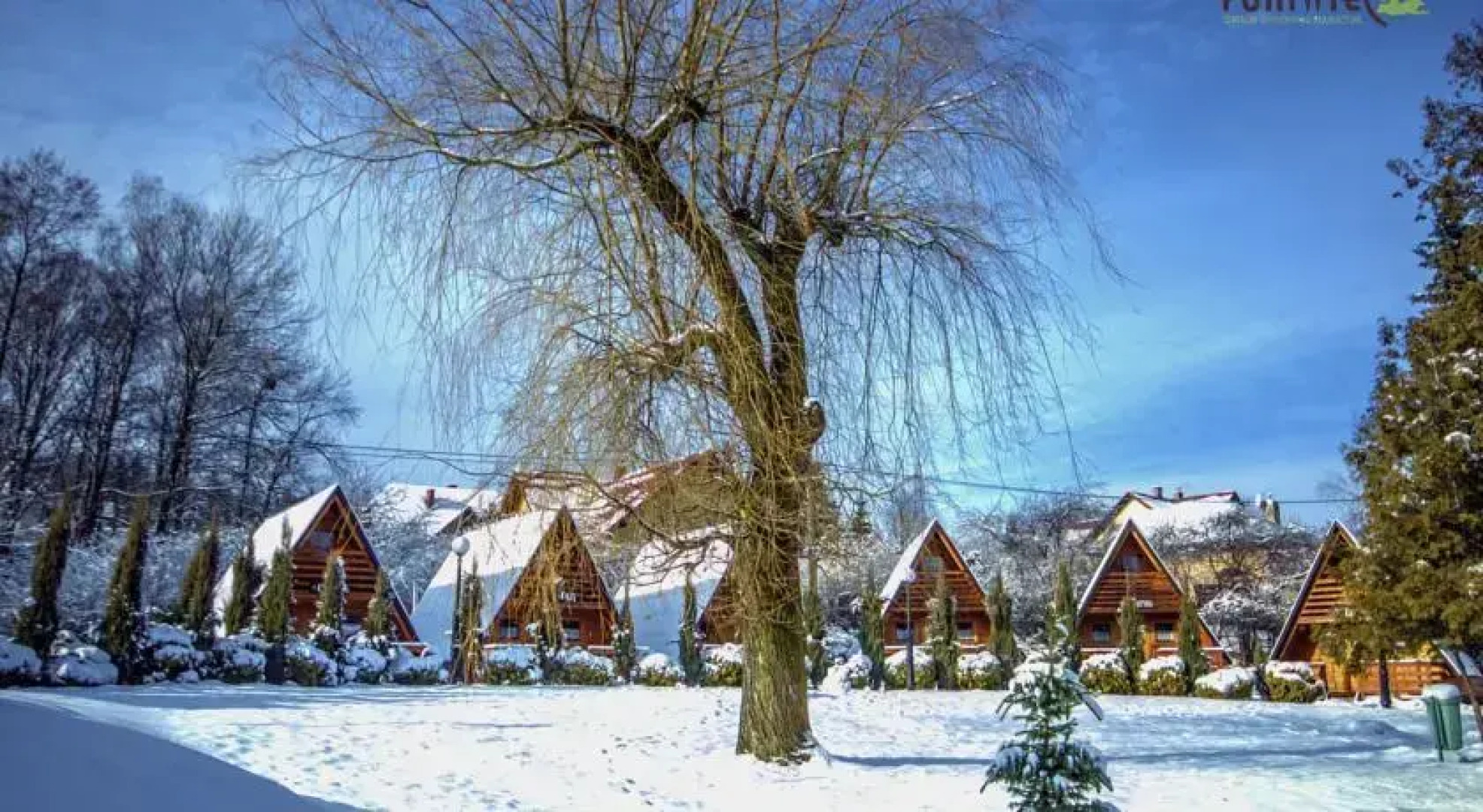 Domki Przy Parku Poniwiec