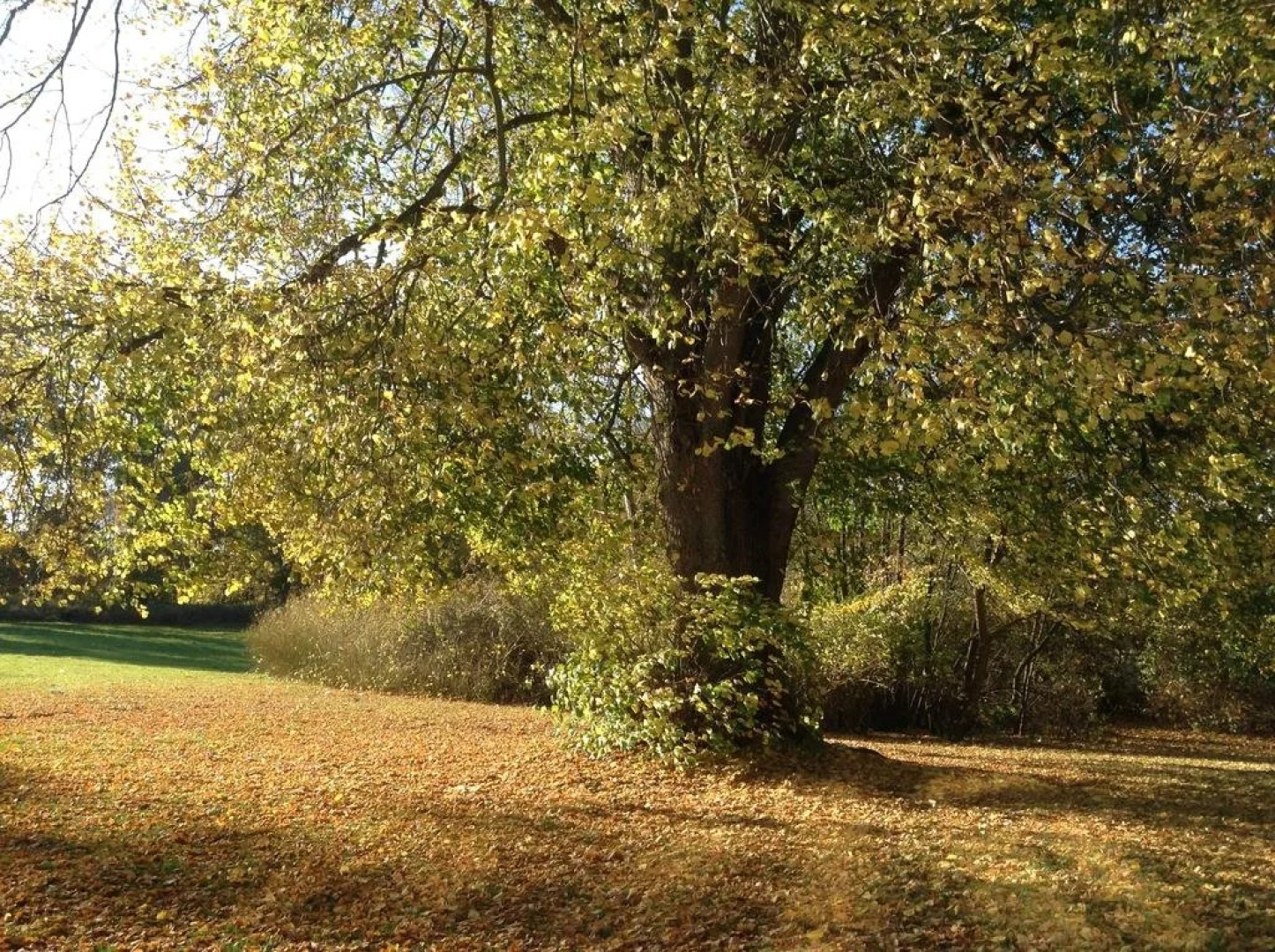 Danhostel Nykøbing Falster