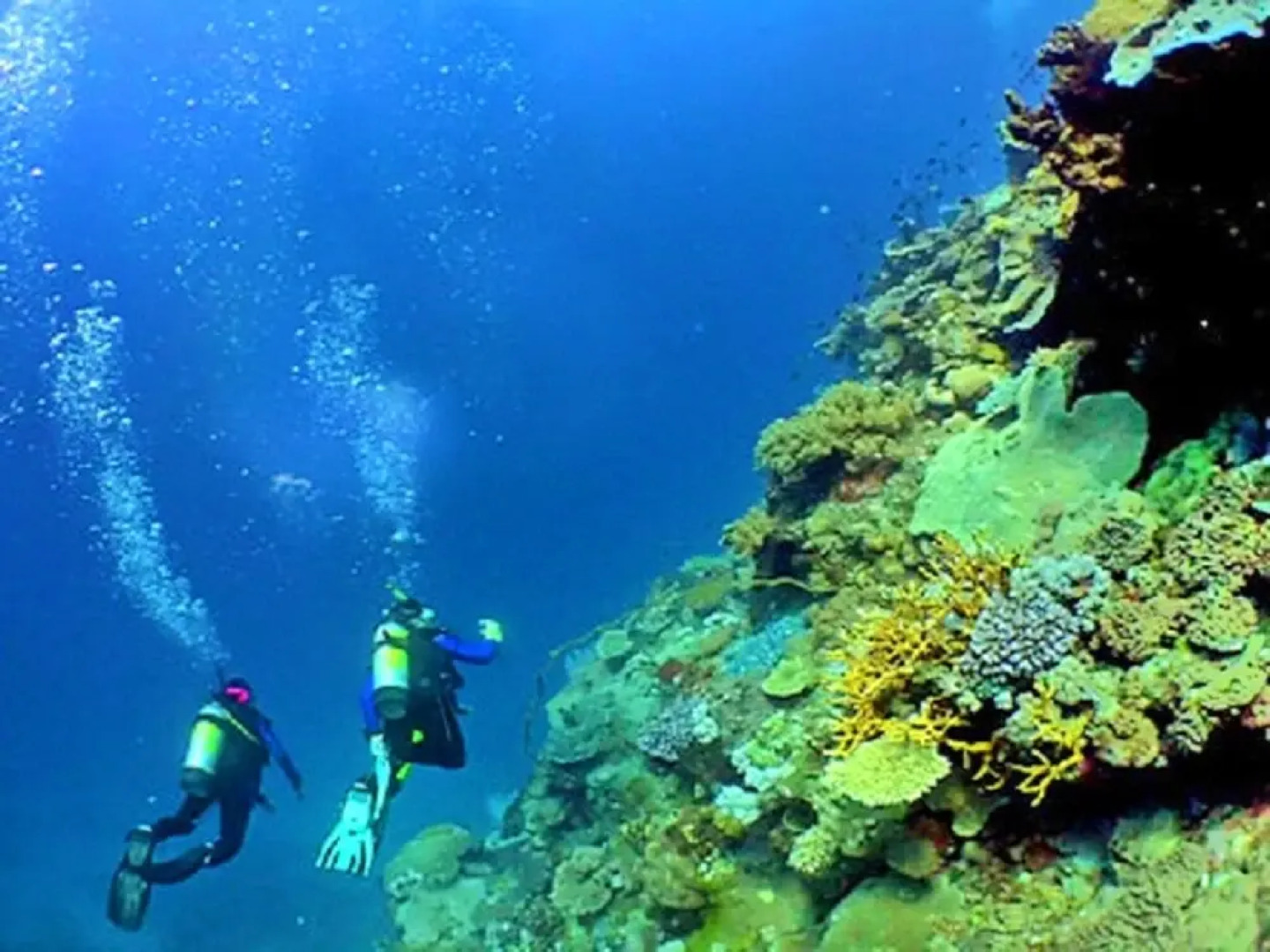 Luxury Holiday Villa With Pool in Boliqueime Near Vilamoura, Golf Nearby