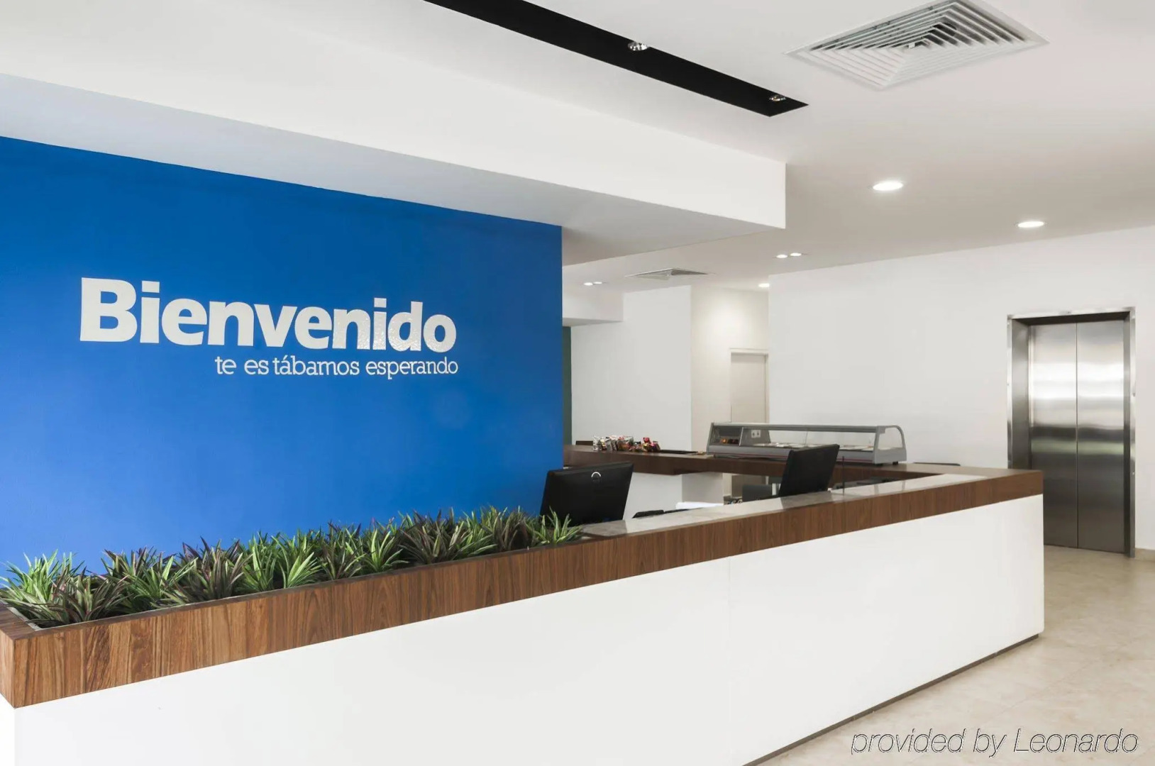 One Xalapa Las Animas