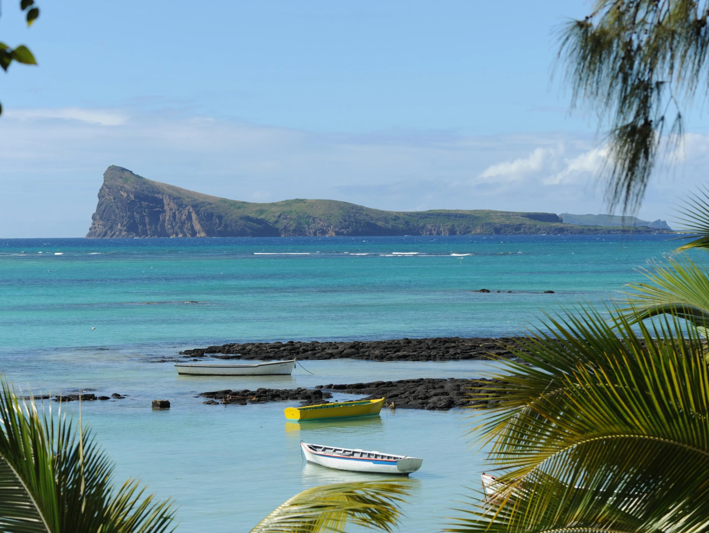 Coin de Mire Attitude