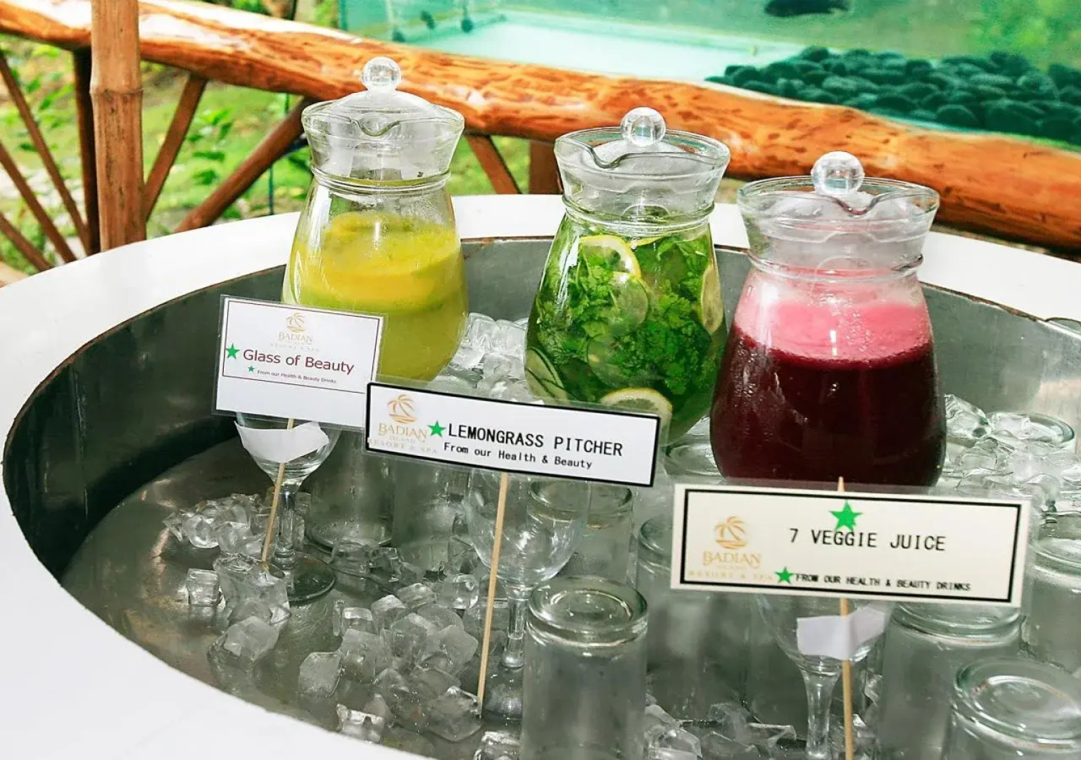 Badian Island Wellness Resort