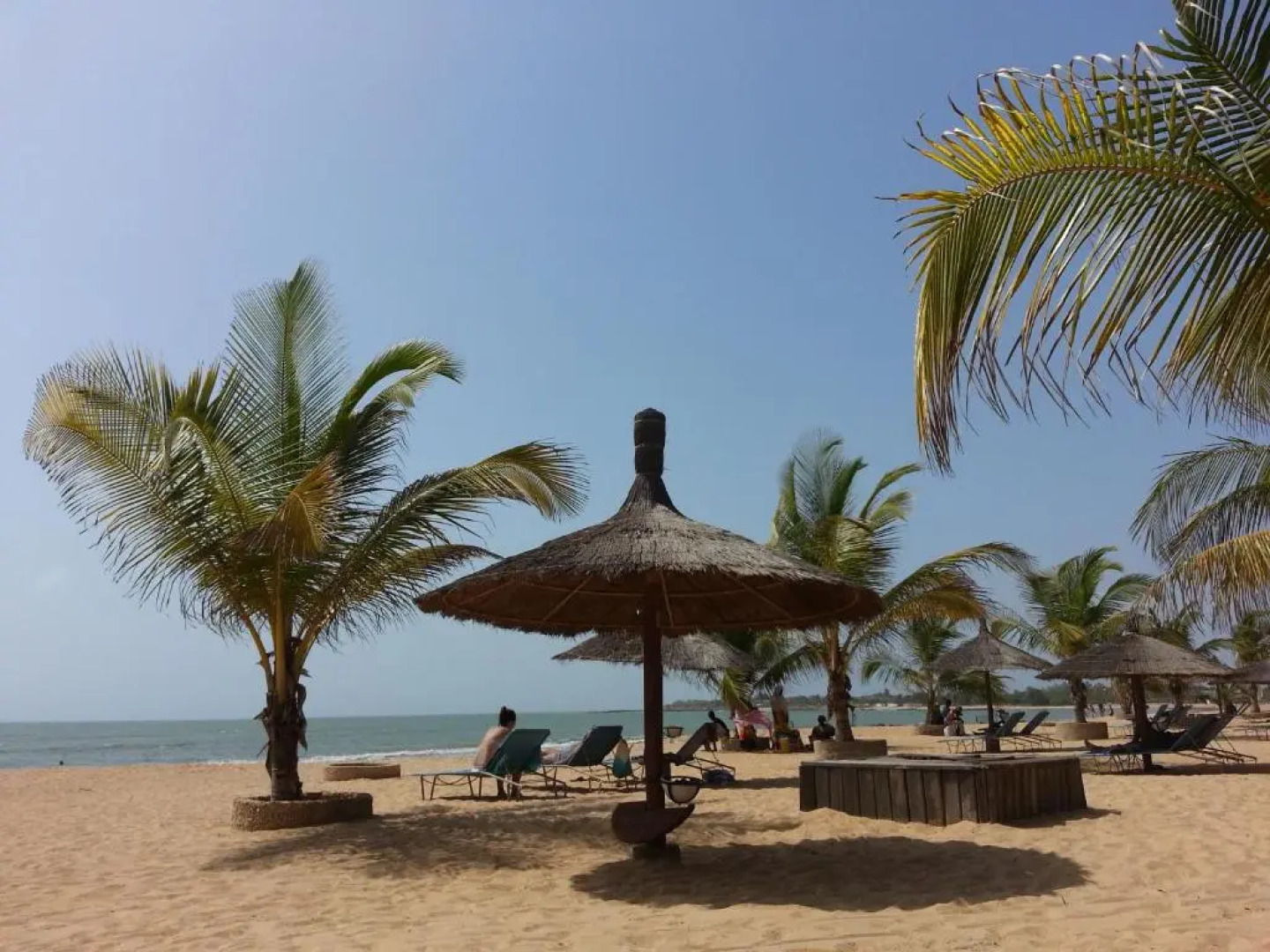 Safari Village - Case73