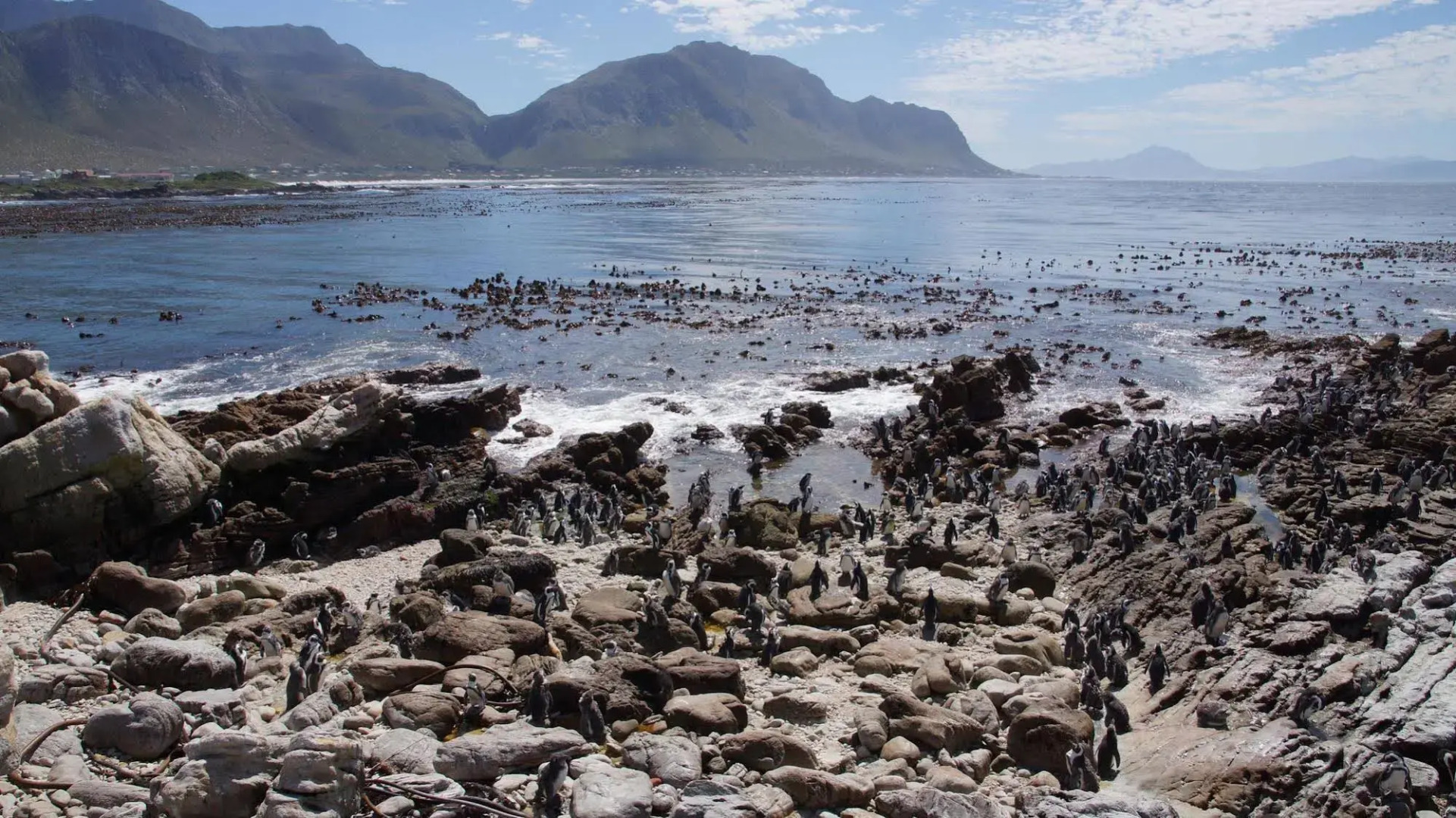 Van den Bergs Guesthouse B&B