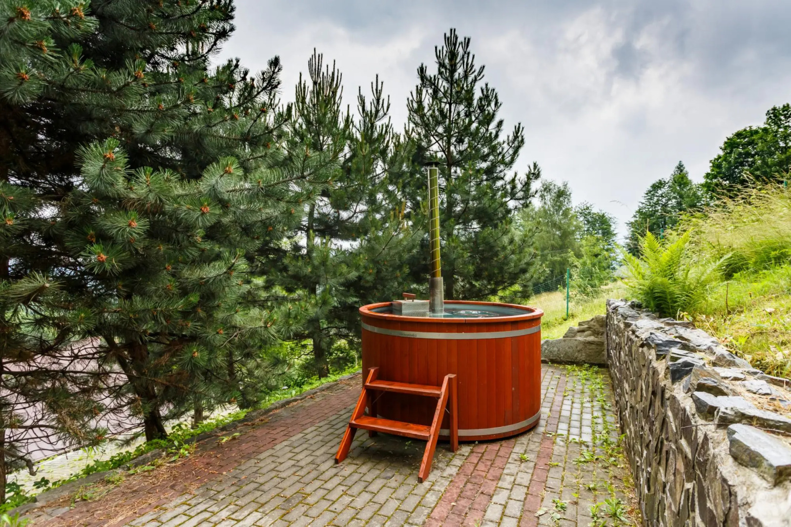 Pstruzi Mptm562 in Pstru