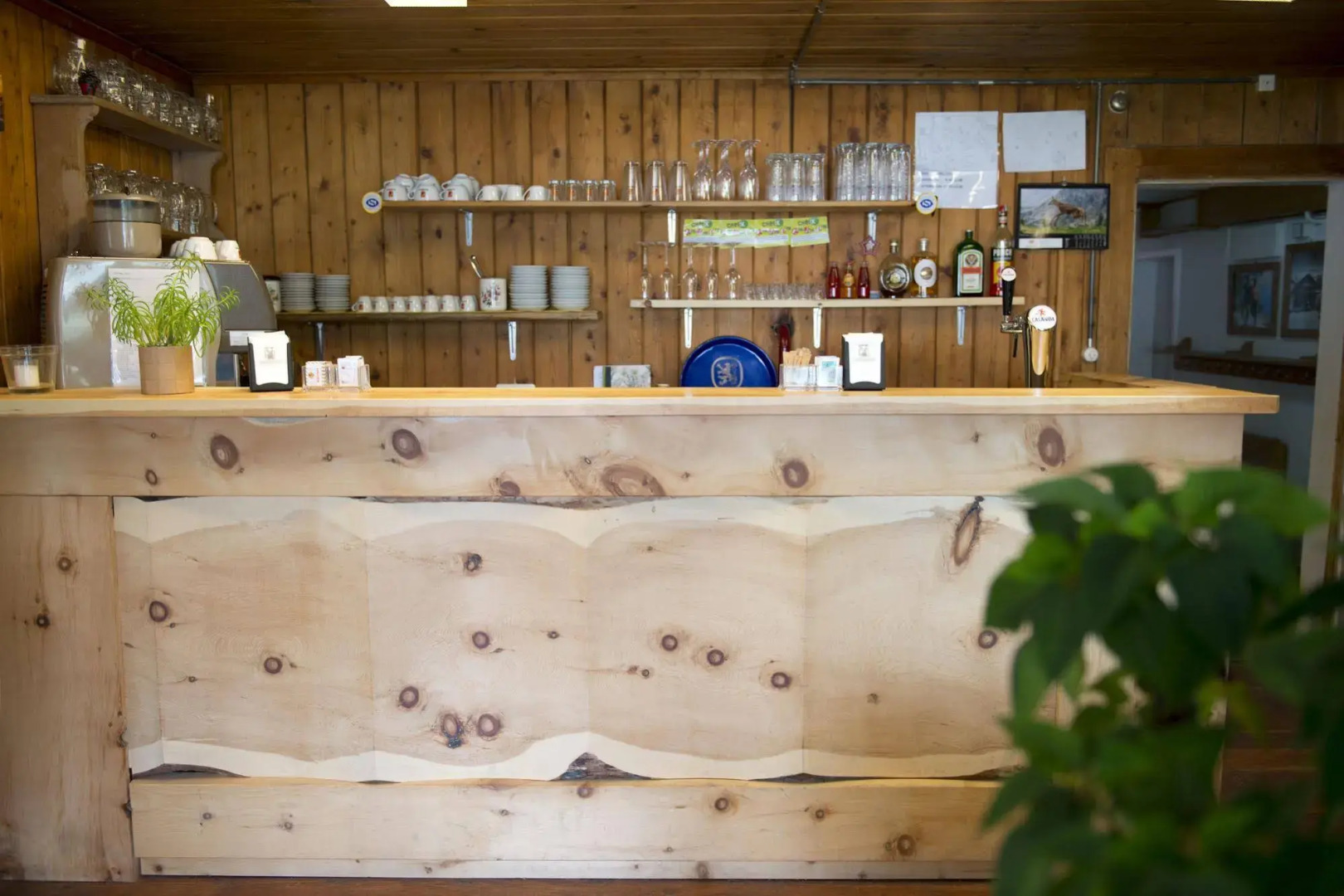 Chalet Speciale - Hostel