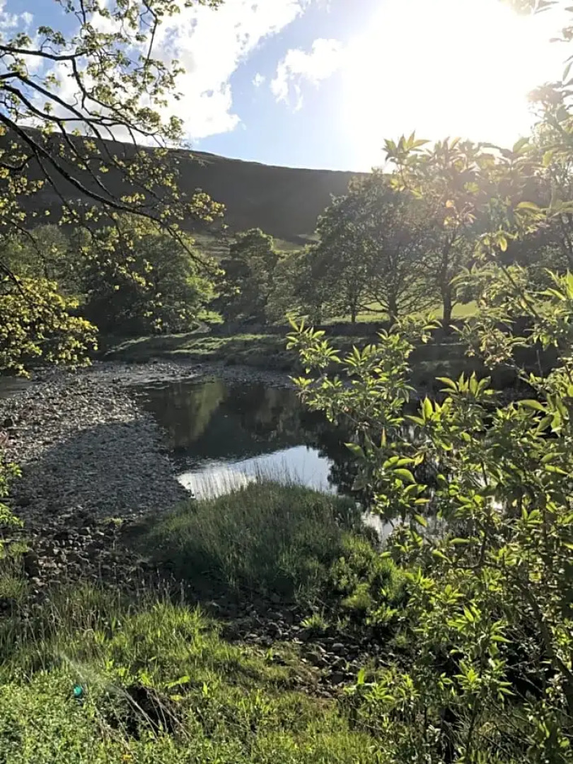 The Racehorses Hotel