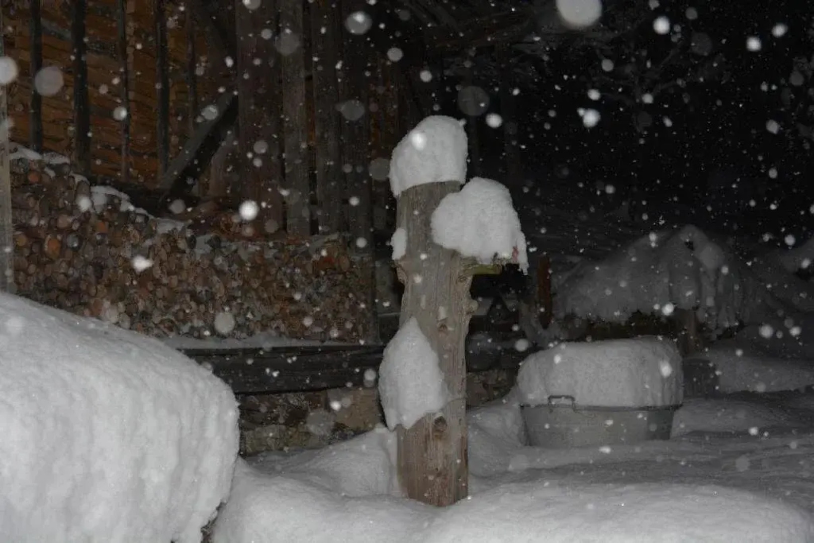 Riegergut - Inh 29569