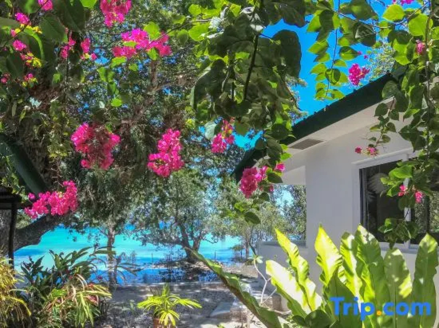 The Three P Beach Resort & Dive Center