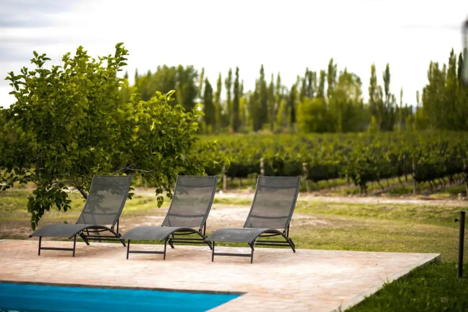 Finca el Maiten Posada Boutique