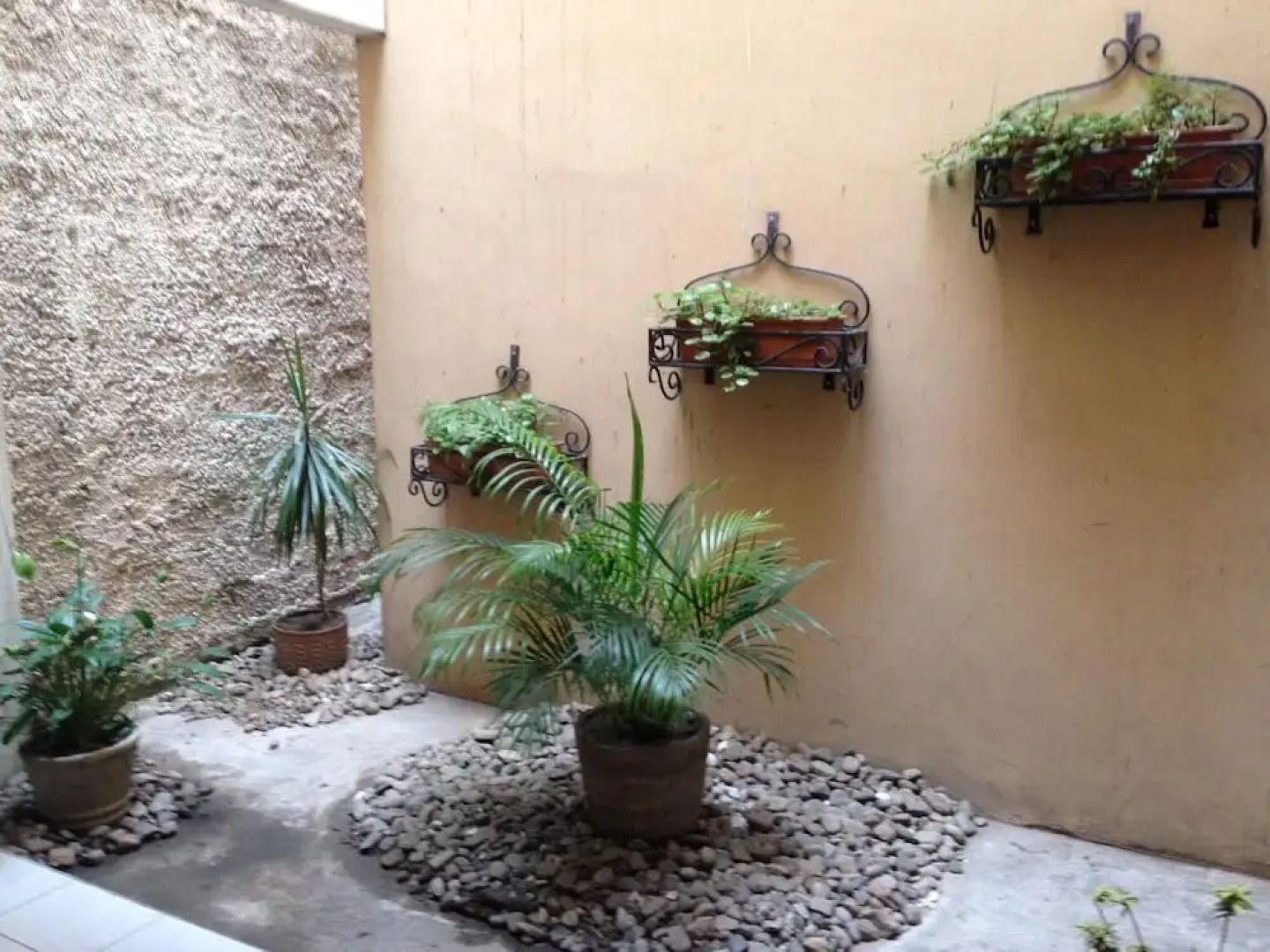 Hotel Jenecheru