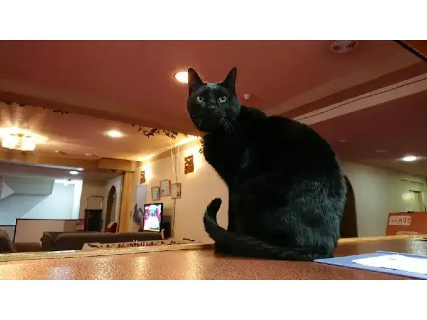 Sports Hotel SILVER SHIGA