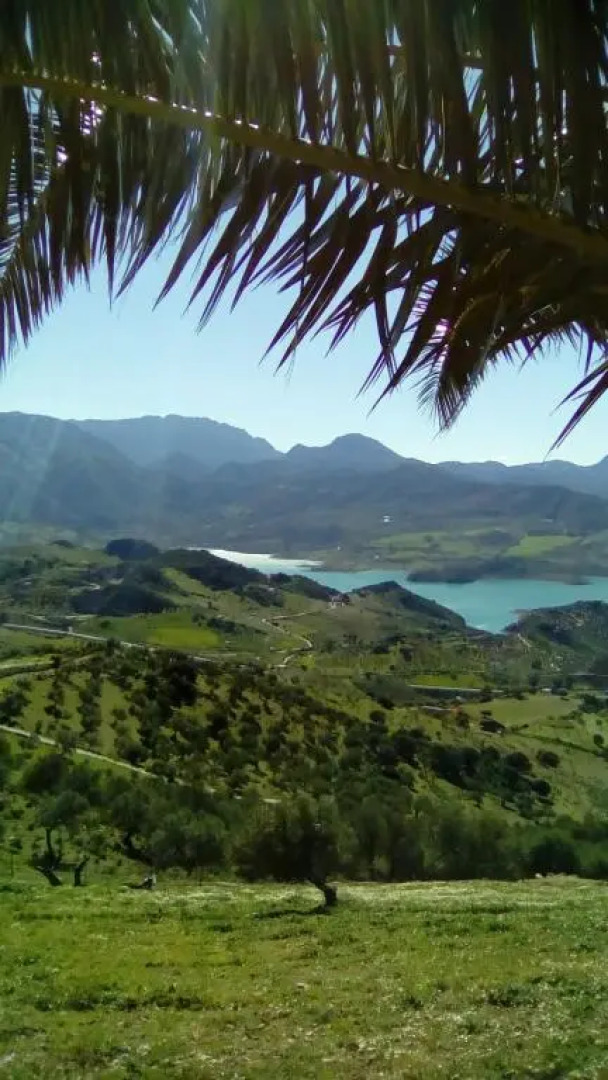 Conjunto El Carramolo