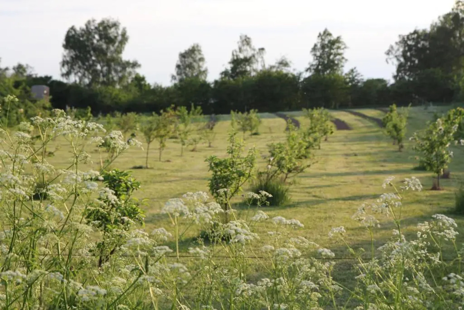 Strandsegård Ferielejligheder
