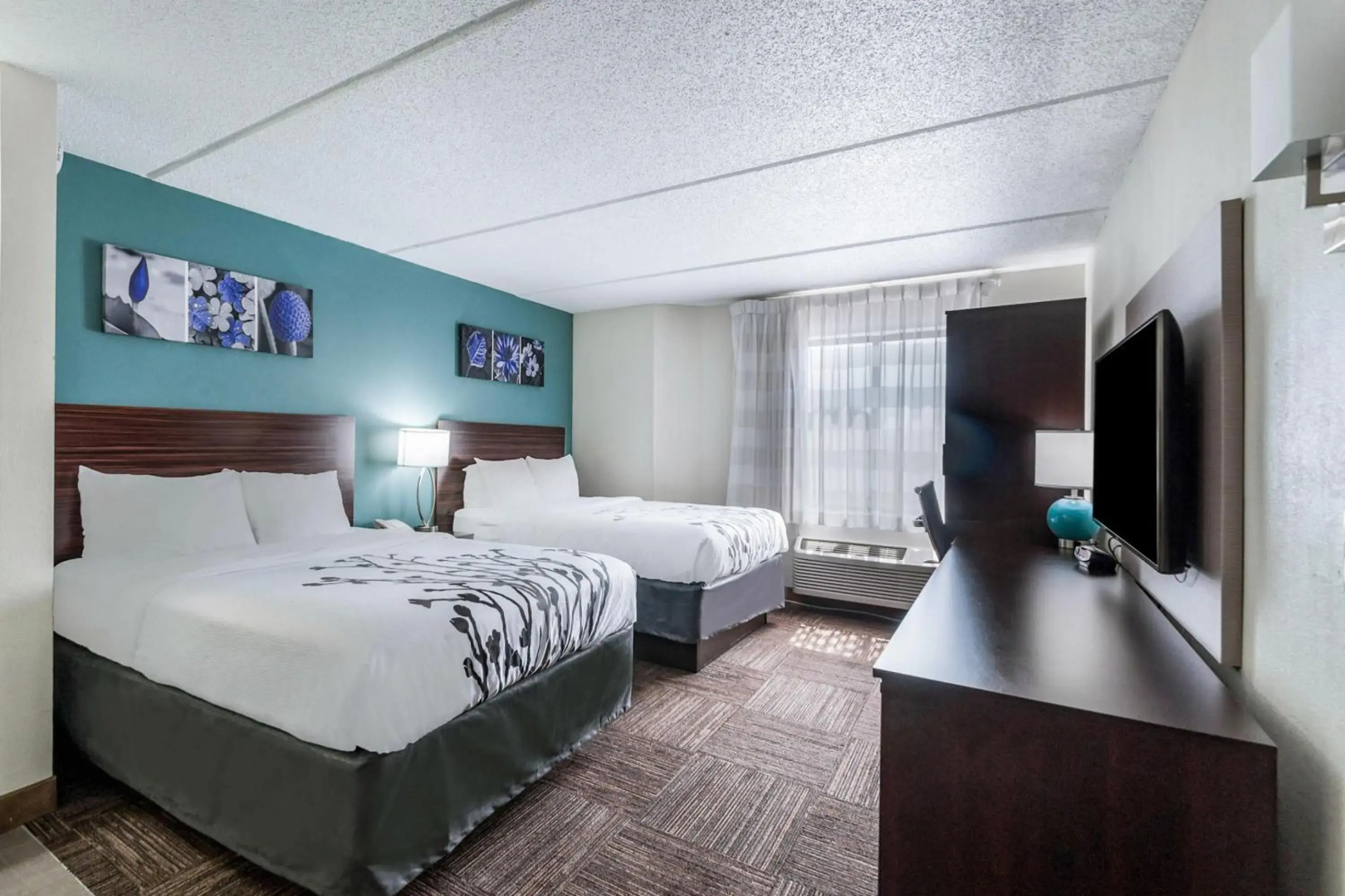 Sleep Inn & Suites Rehoboth Beach
