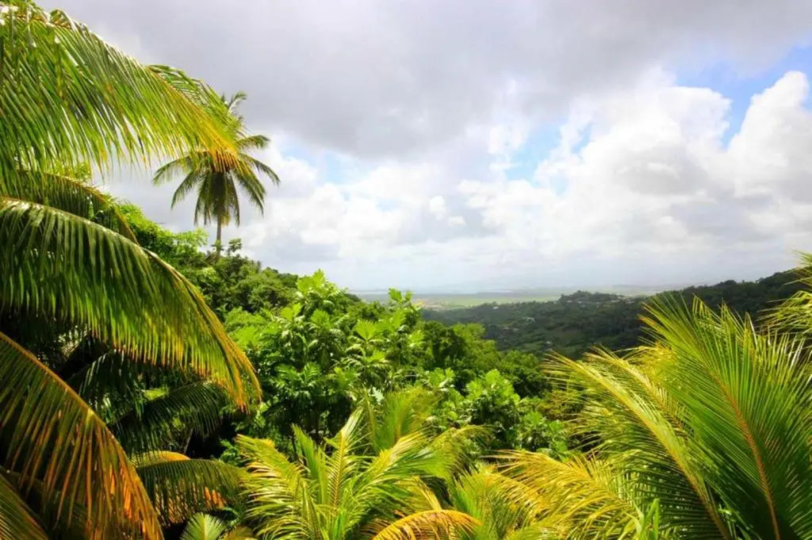 House With 2 Bedrooms in Rivière-salée, With Wonderful Mountain View, Enclosed Garden and Wifi - 8 km From the Beach