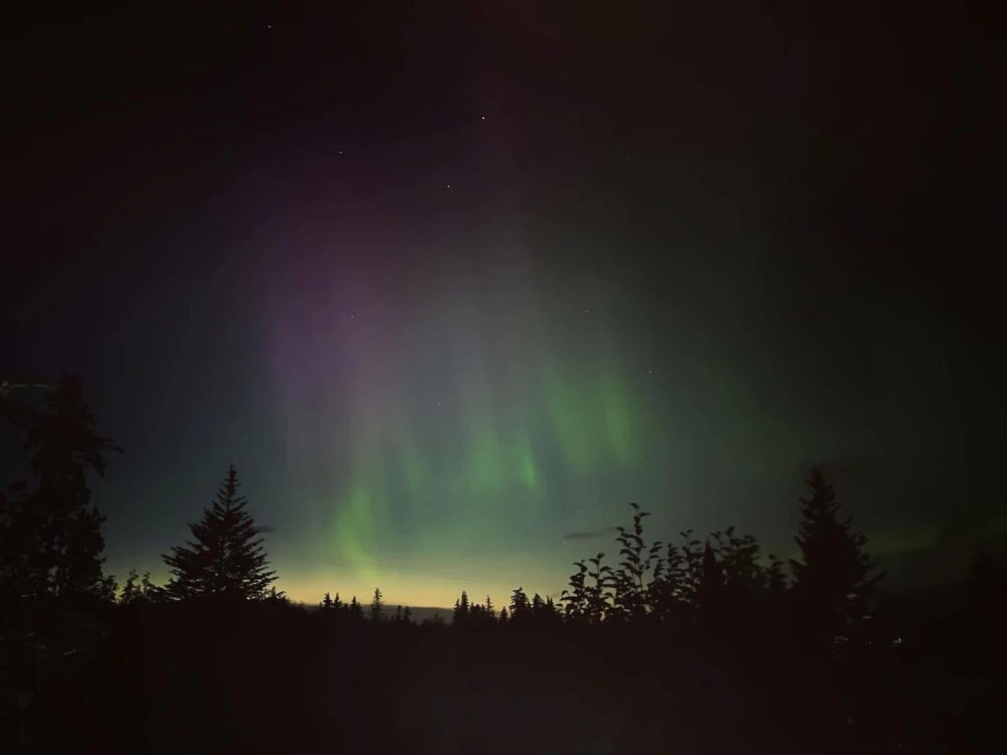 Blue Spruce Apartment