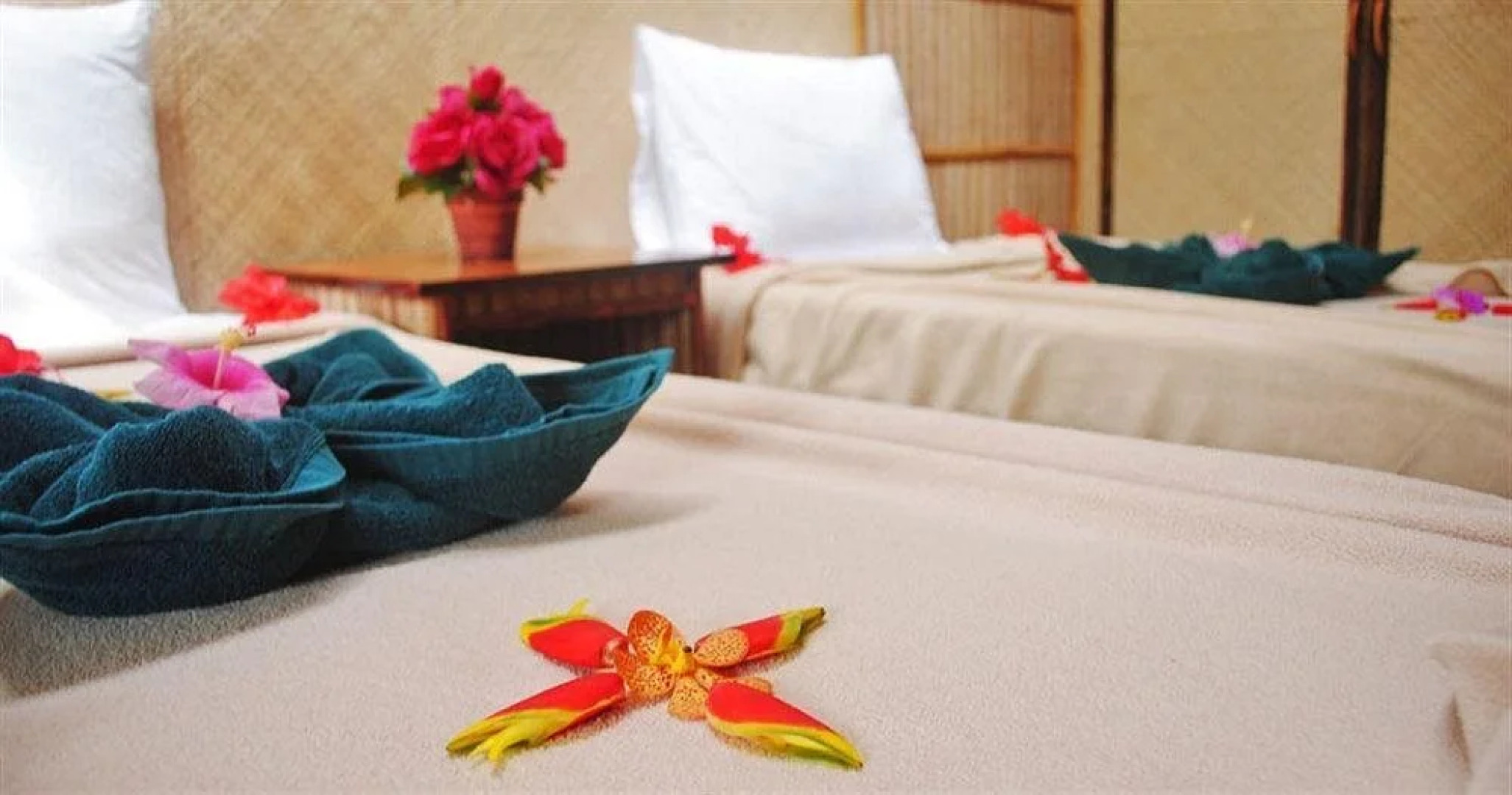 Ngellil Island Bungalows