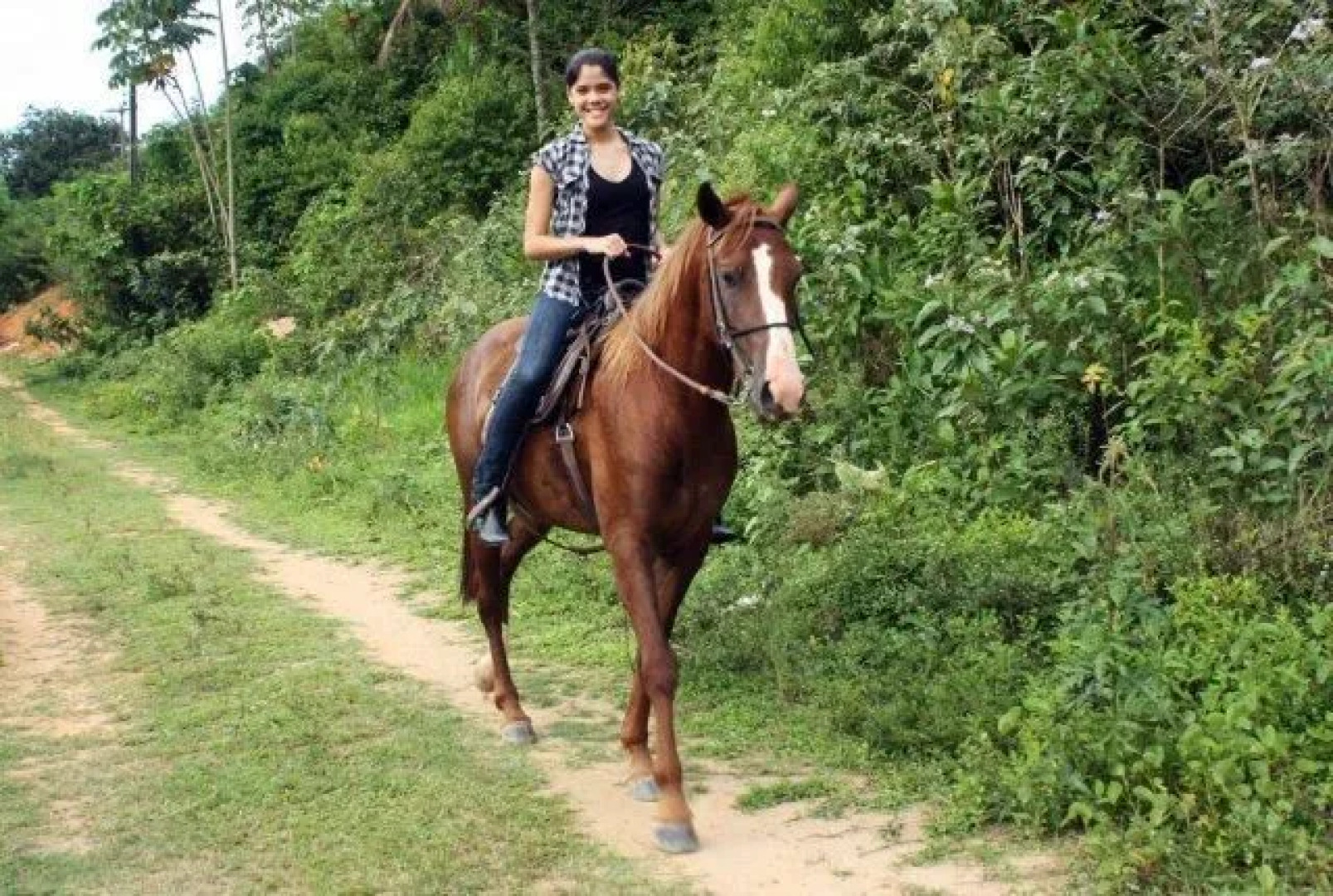 Aymara Hotel Fazenda