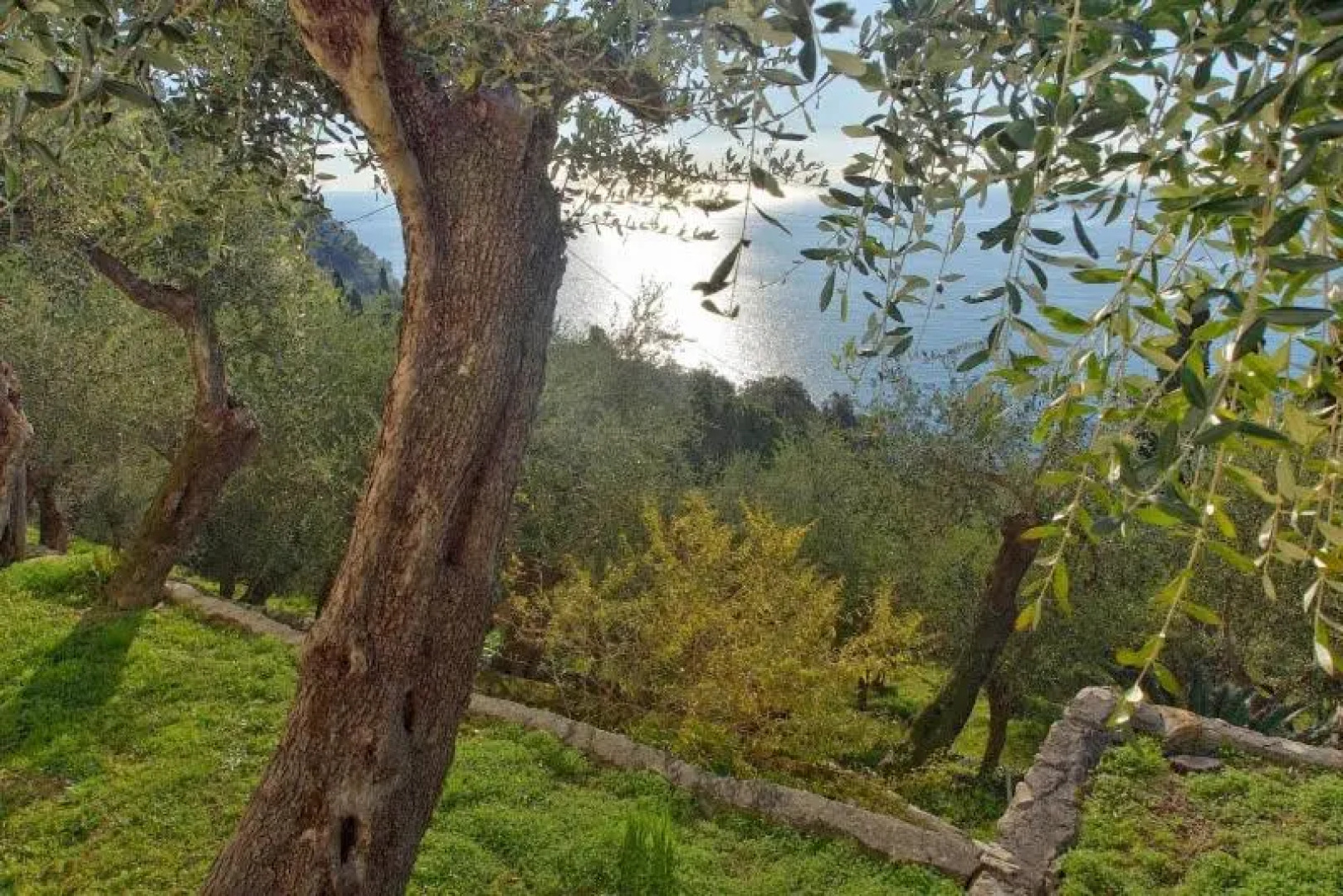 La Seta e il Mare Appartamento in Villa