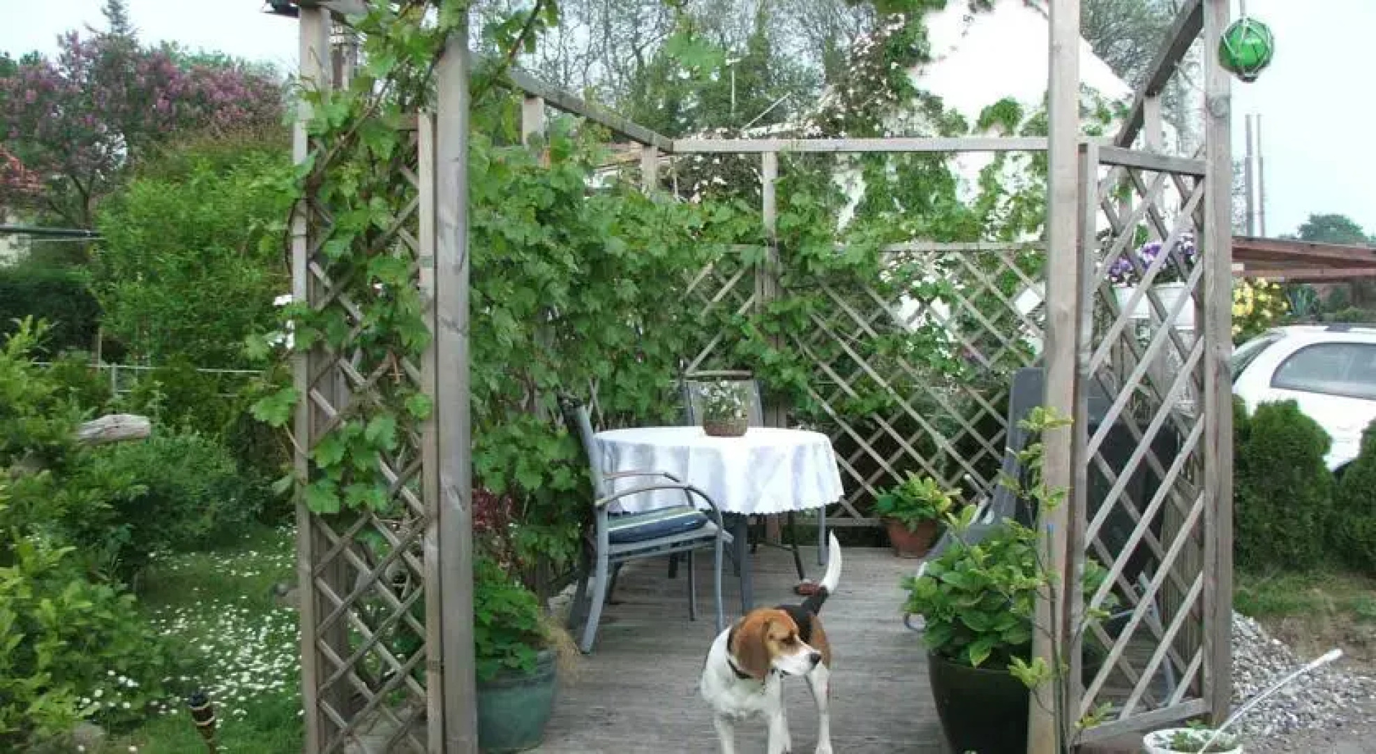 Ferienwohnungen Sebök