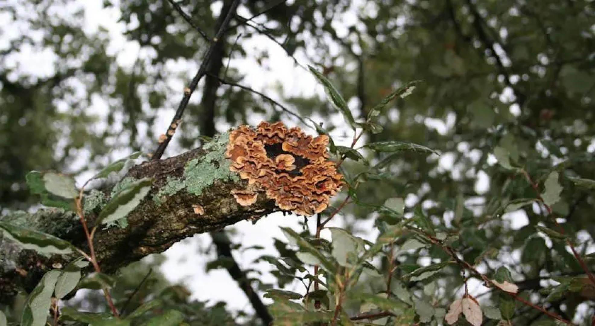 Refugio De La Rabaza