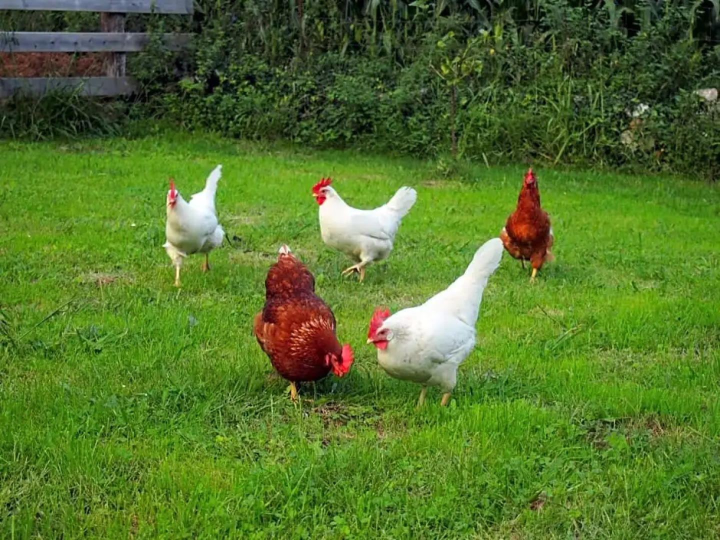 El Rincón de Escalante