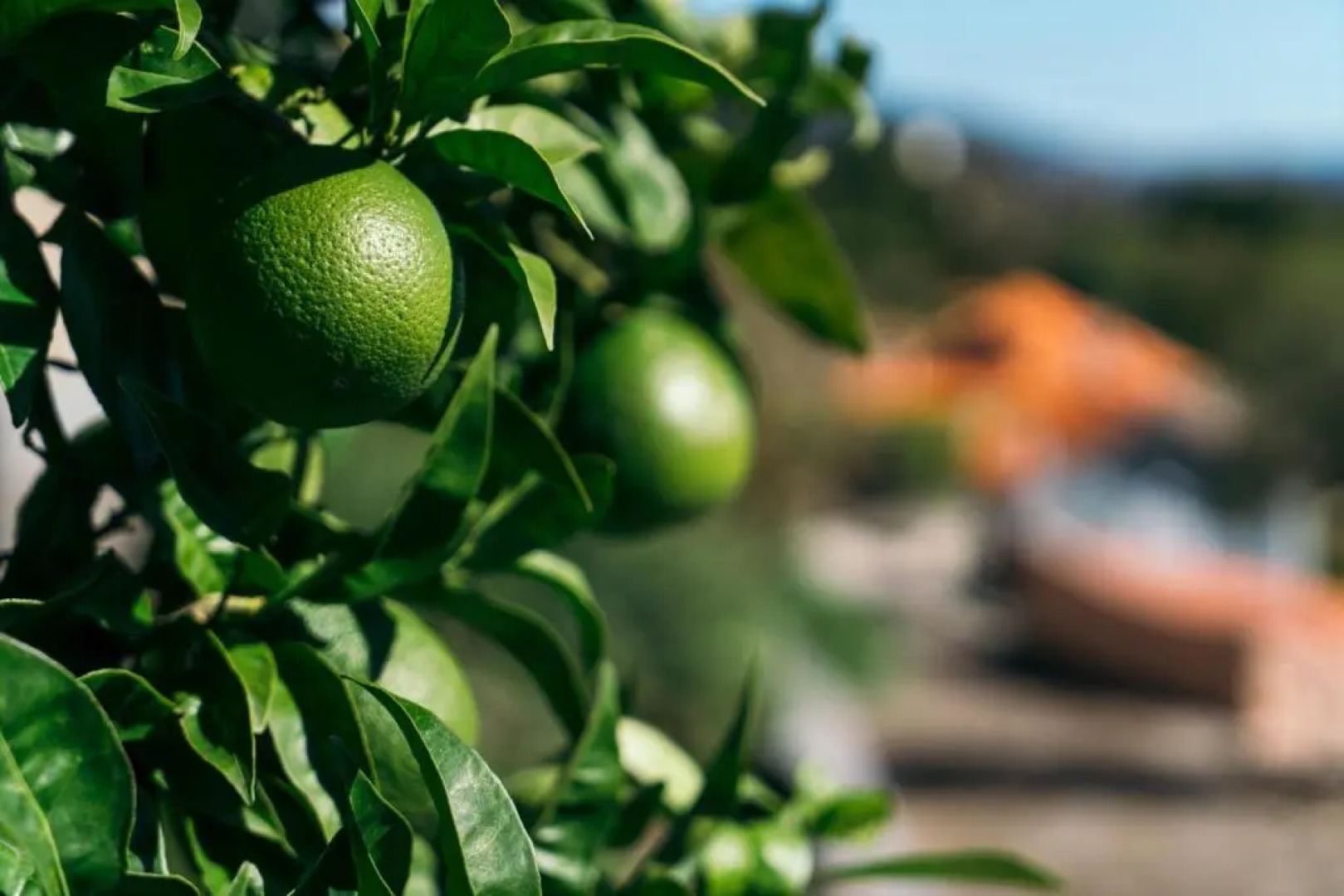 Casa Nova Agroturismo