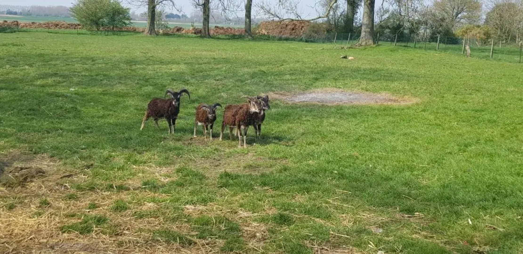 Le Blockhaus de Domléger