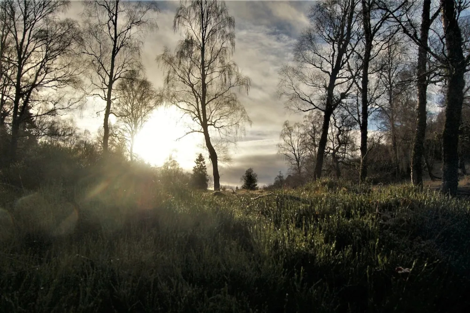 Rowan Tree Country Hotel