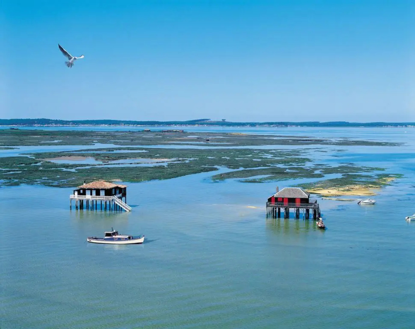 Chambres dHôtes La Louisiane