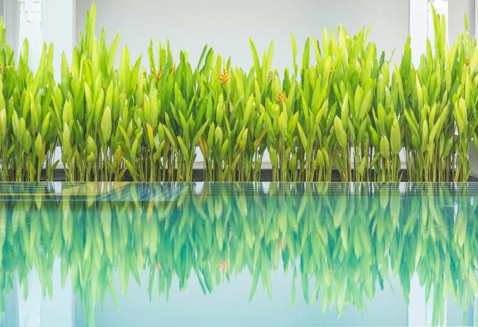 Malenne d'Angkor Residence