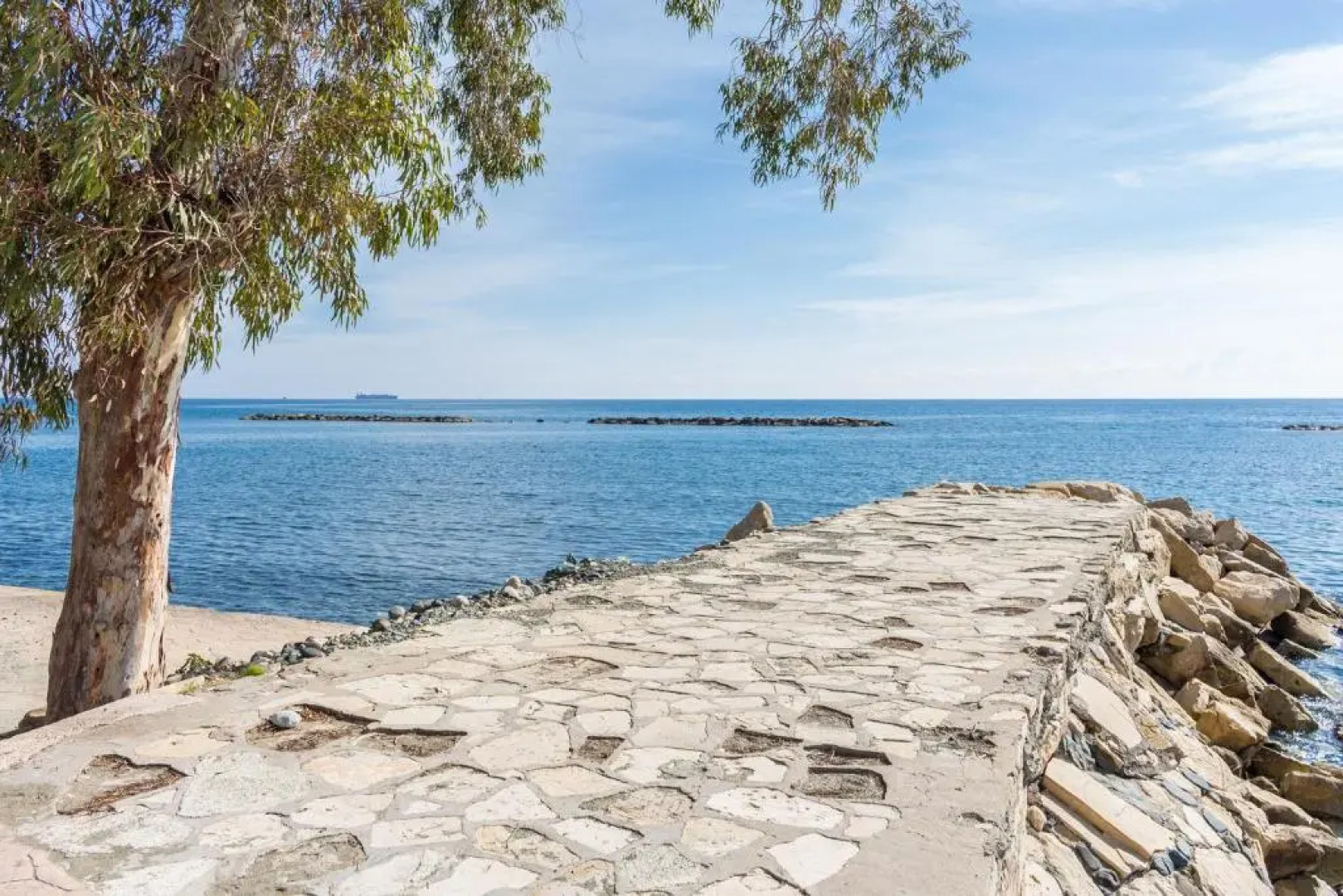 Carmencita Studio B14 with pool & gym