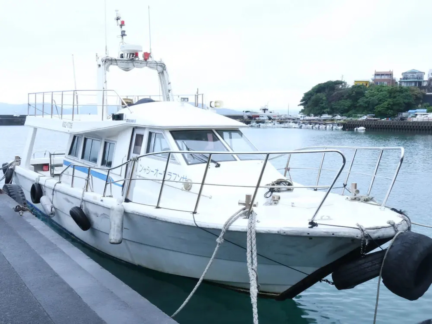 Sunflower City Hotel