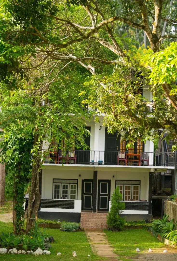 Ella Forest Paradise Hotel