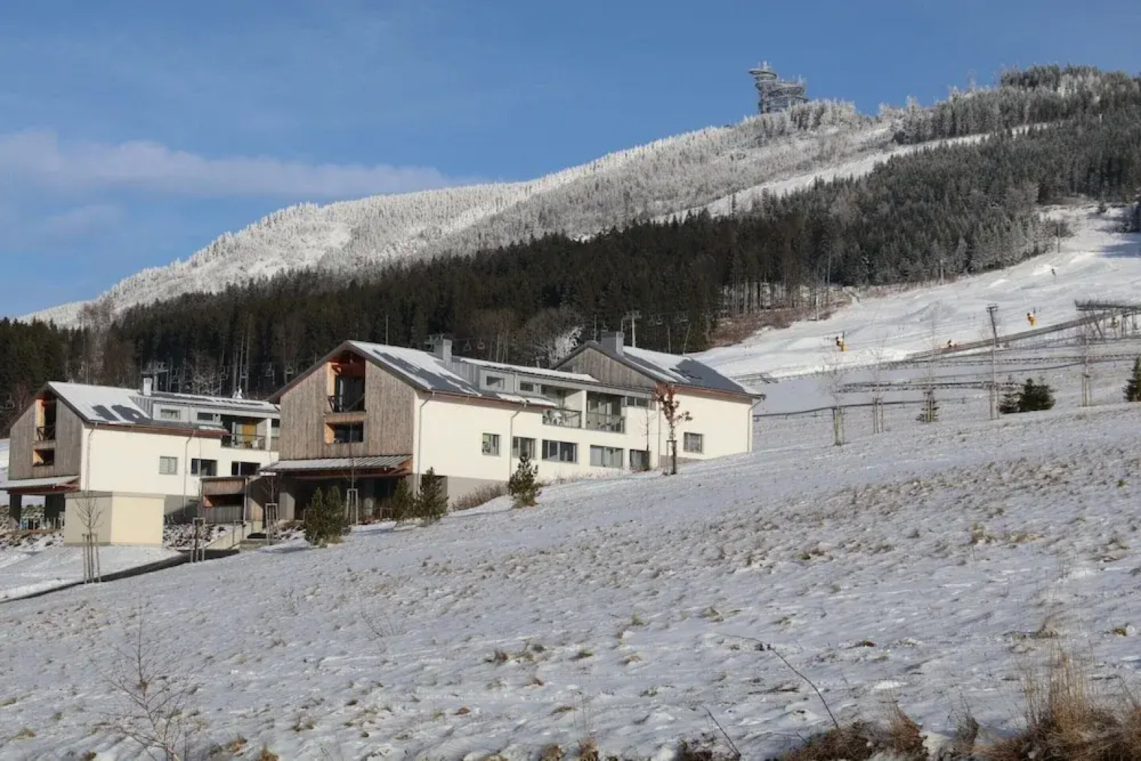 Villa in Dolni Morava Near Ski Slopes