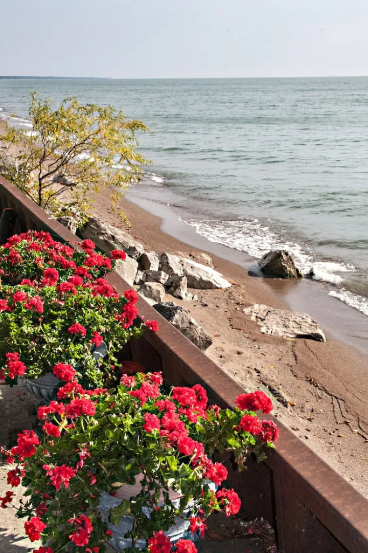 Point Pelee Lakeshore B&B