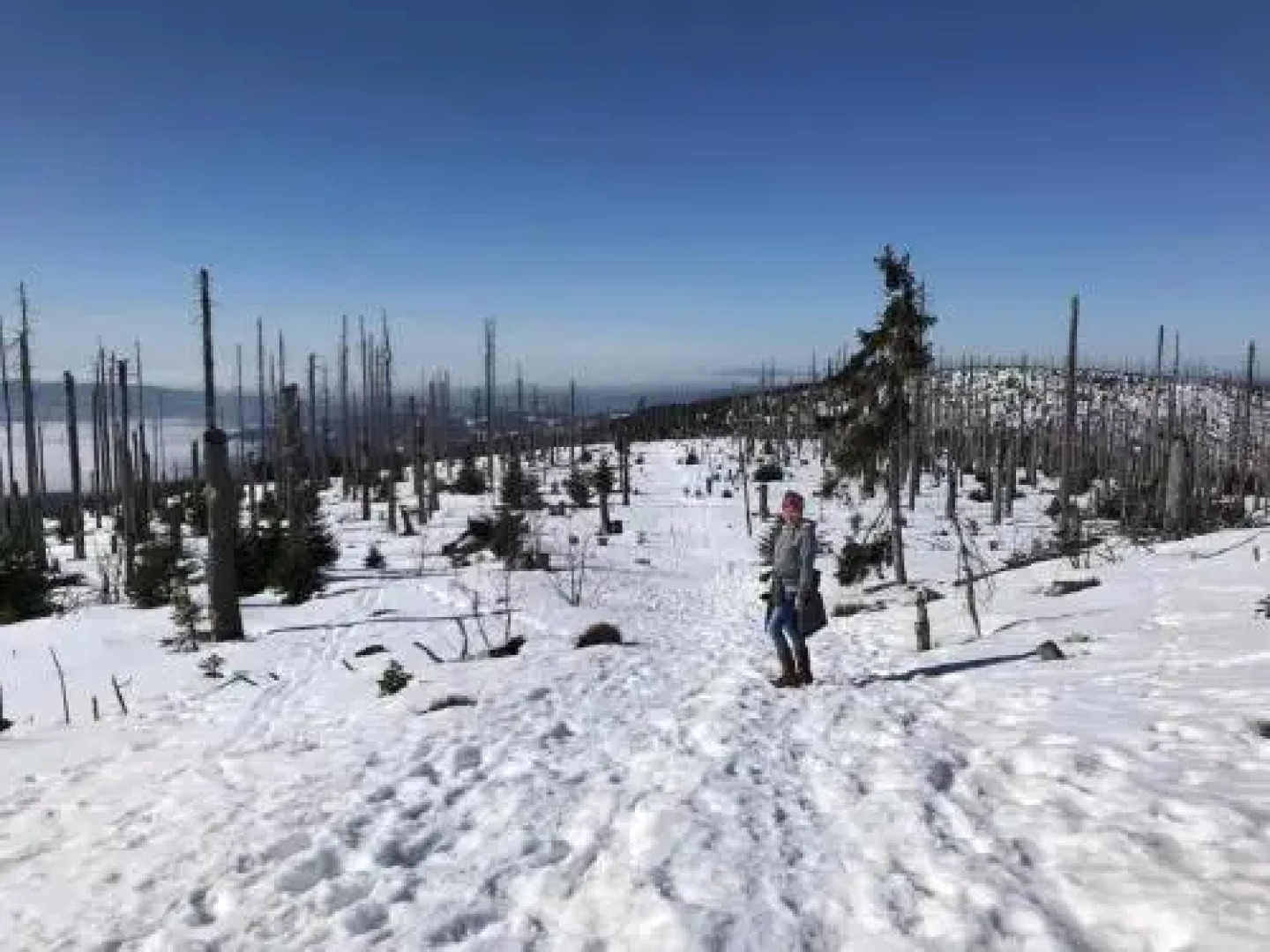 Landurlaub bei Familie Haug