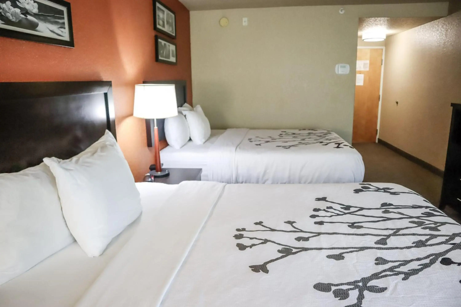Sleep Inn and Suites - Ocala / Belleview