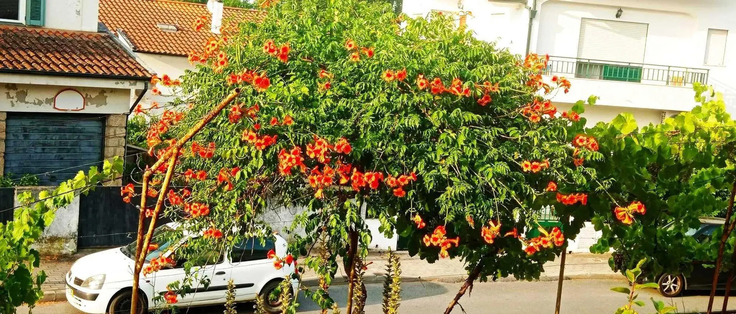 Stunning House in Mirandela Ideal for 10 People