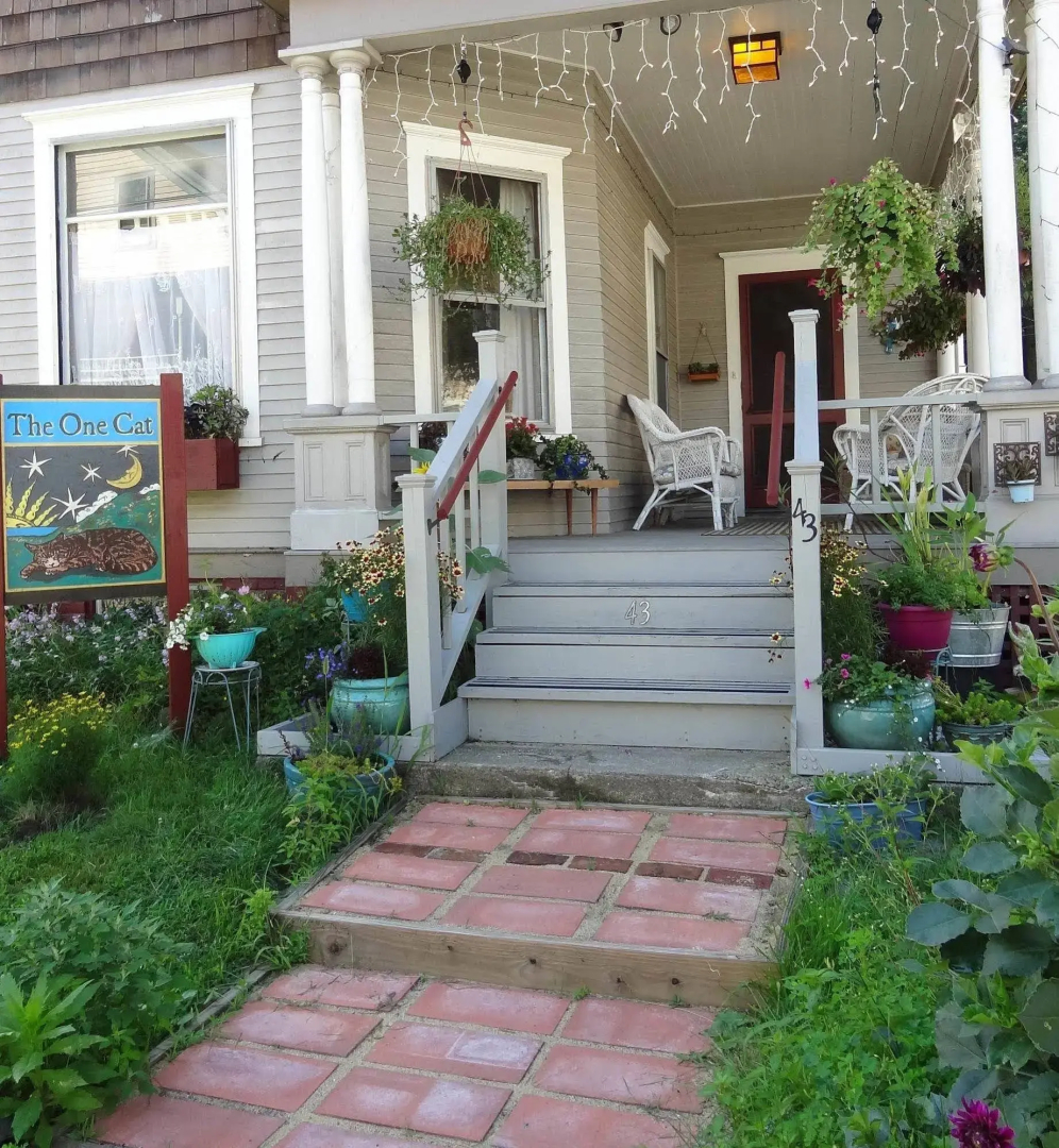 The One Cat B&B