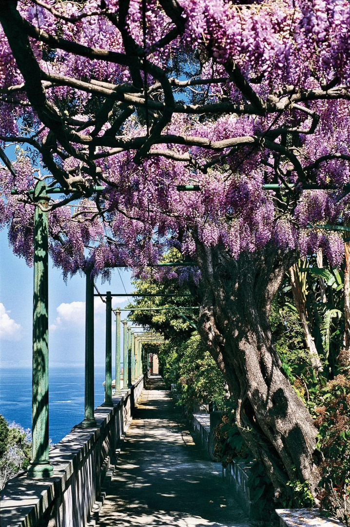 Grand Hotel Excelsior Vittoria