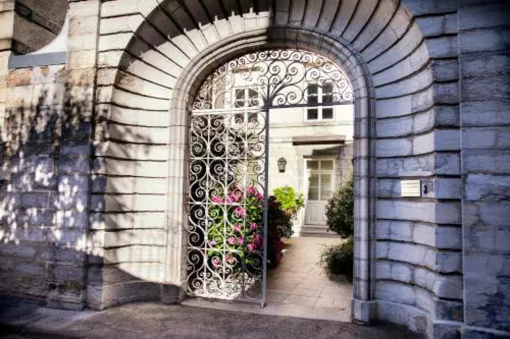 Studio Élégance et Studio Cozy