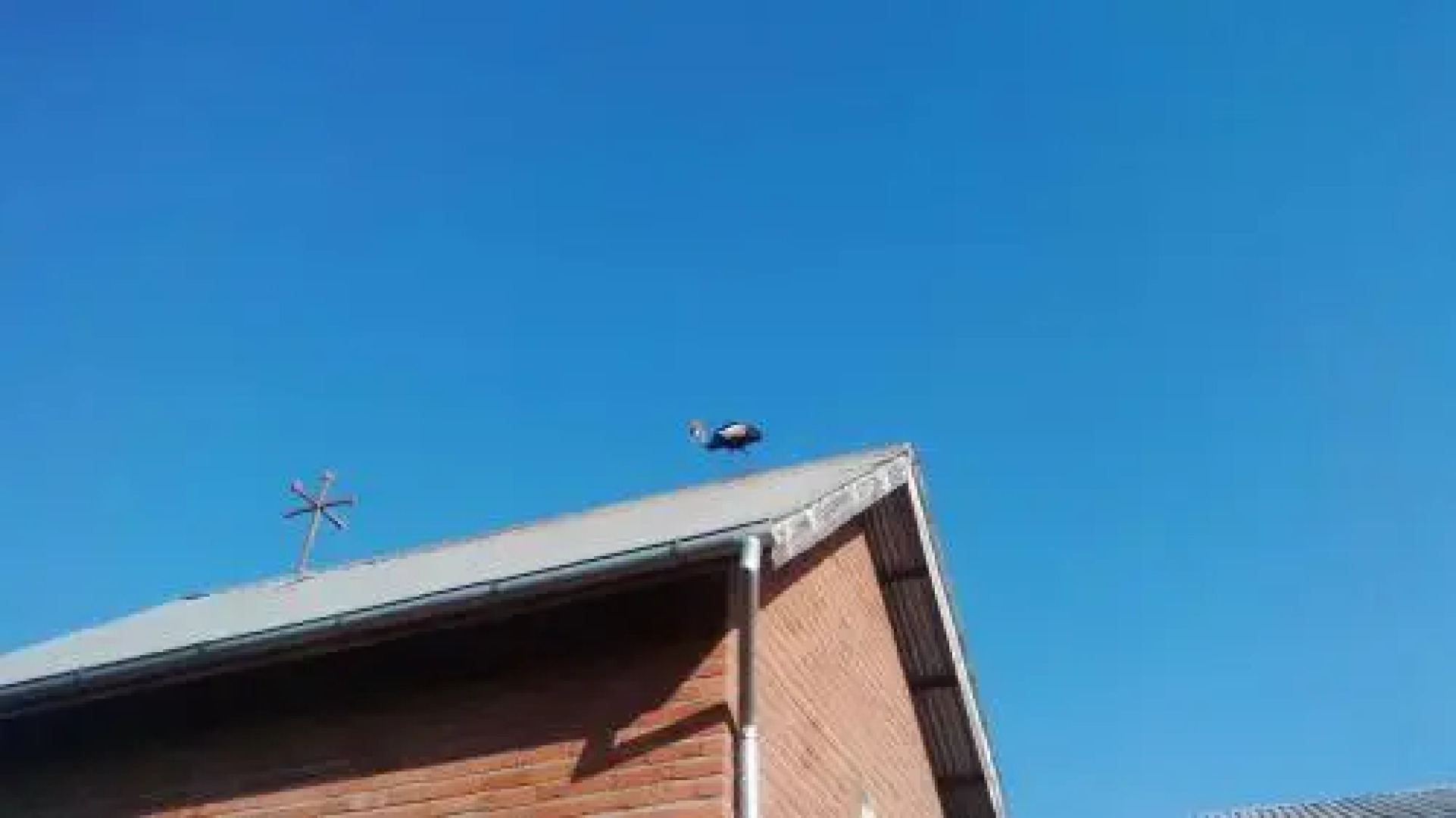 St.Catherine Monastery Guest House