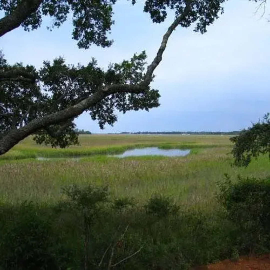 Kiawah Island by Wyndham Vacation Rentals