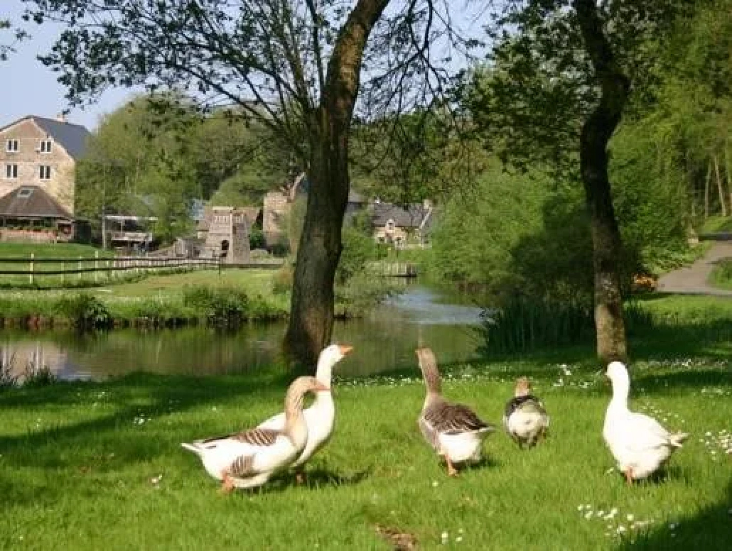 La Maison Des Lamour