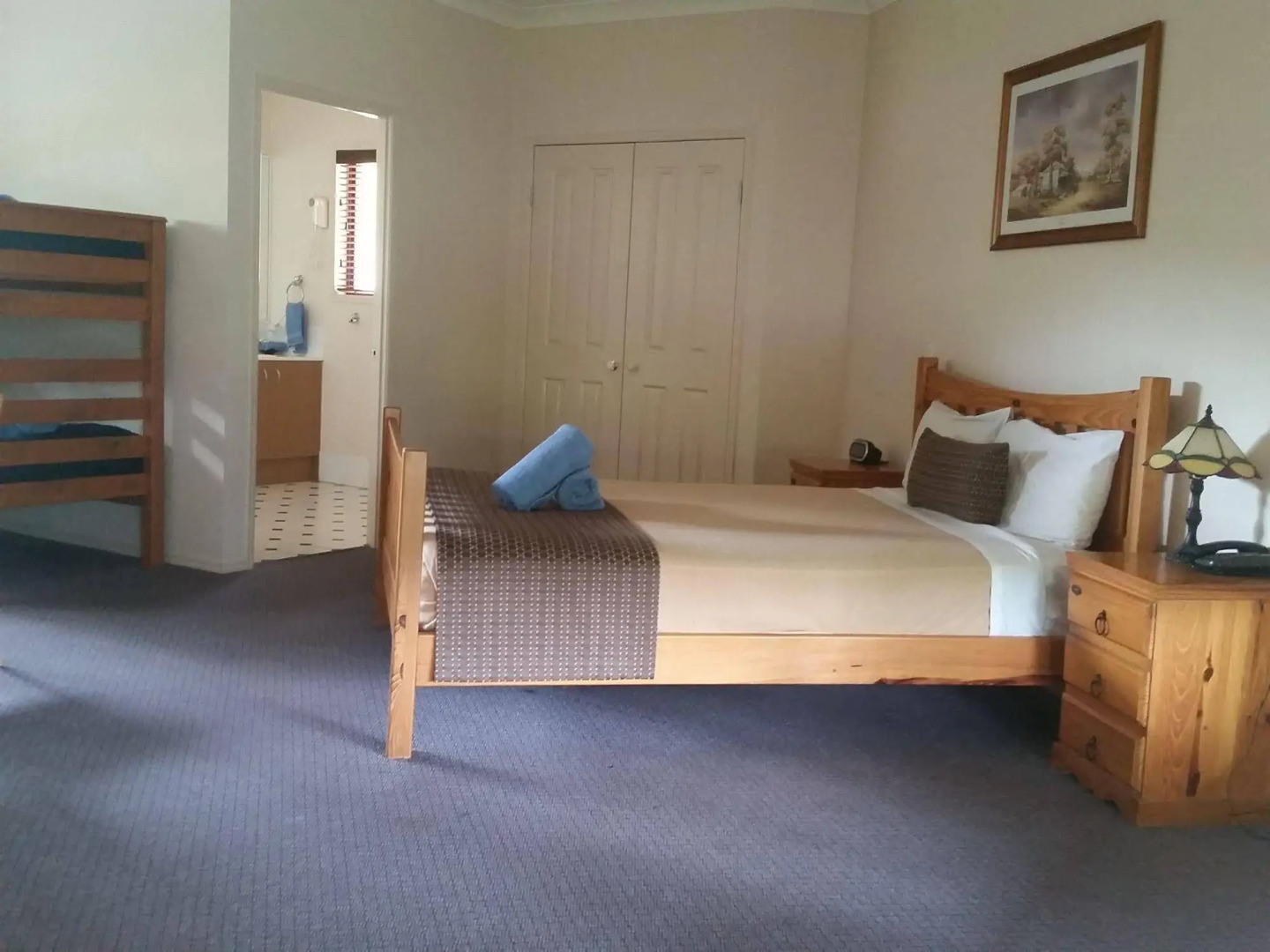 Bearded Dragon Tamborine Country Lodge