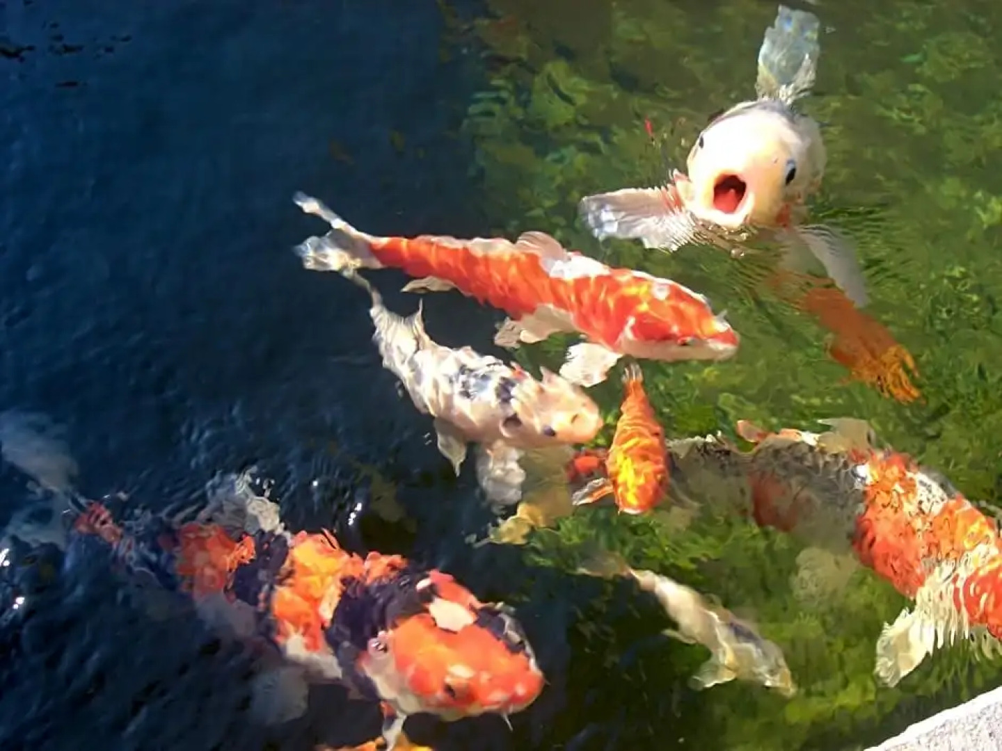 Hotel Garni Vigilhof