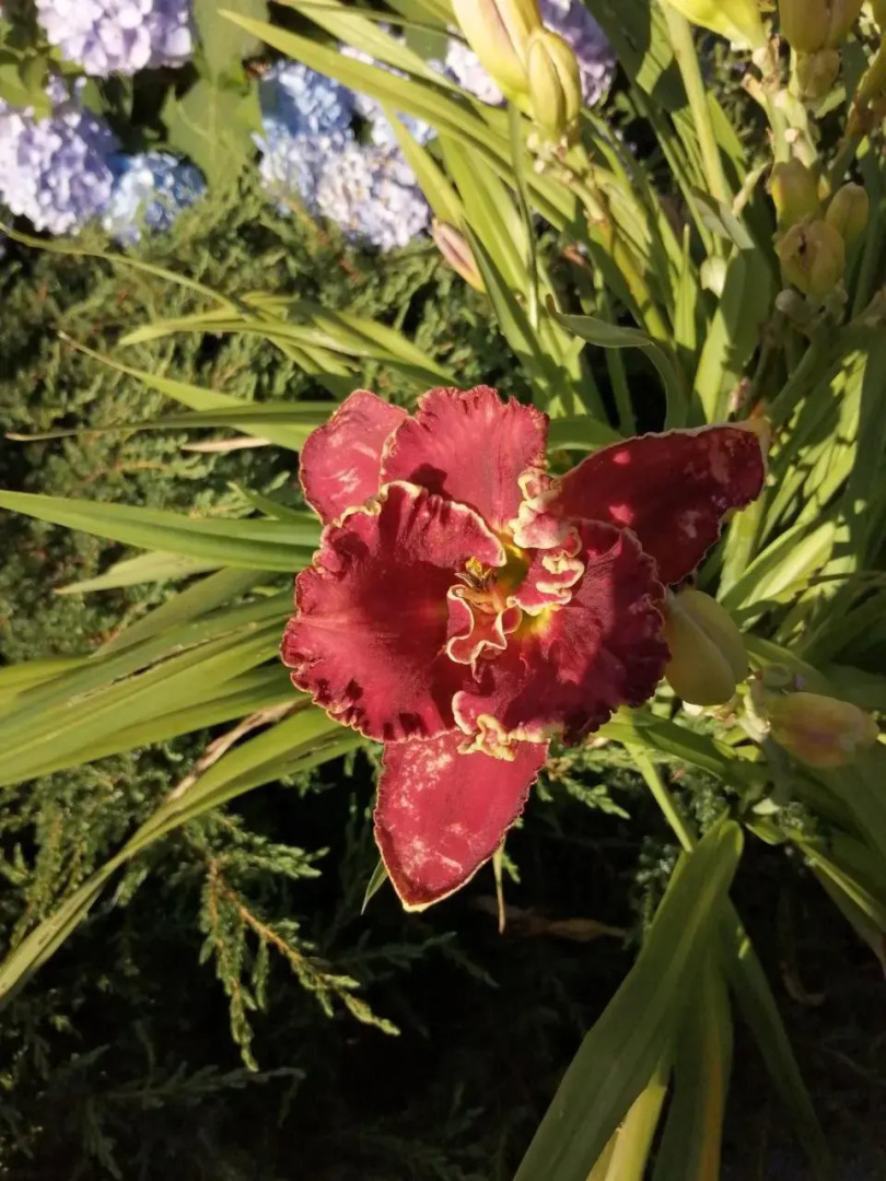 Ubytování u Stuchlíků